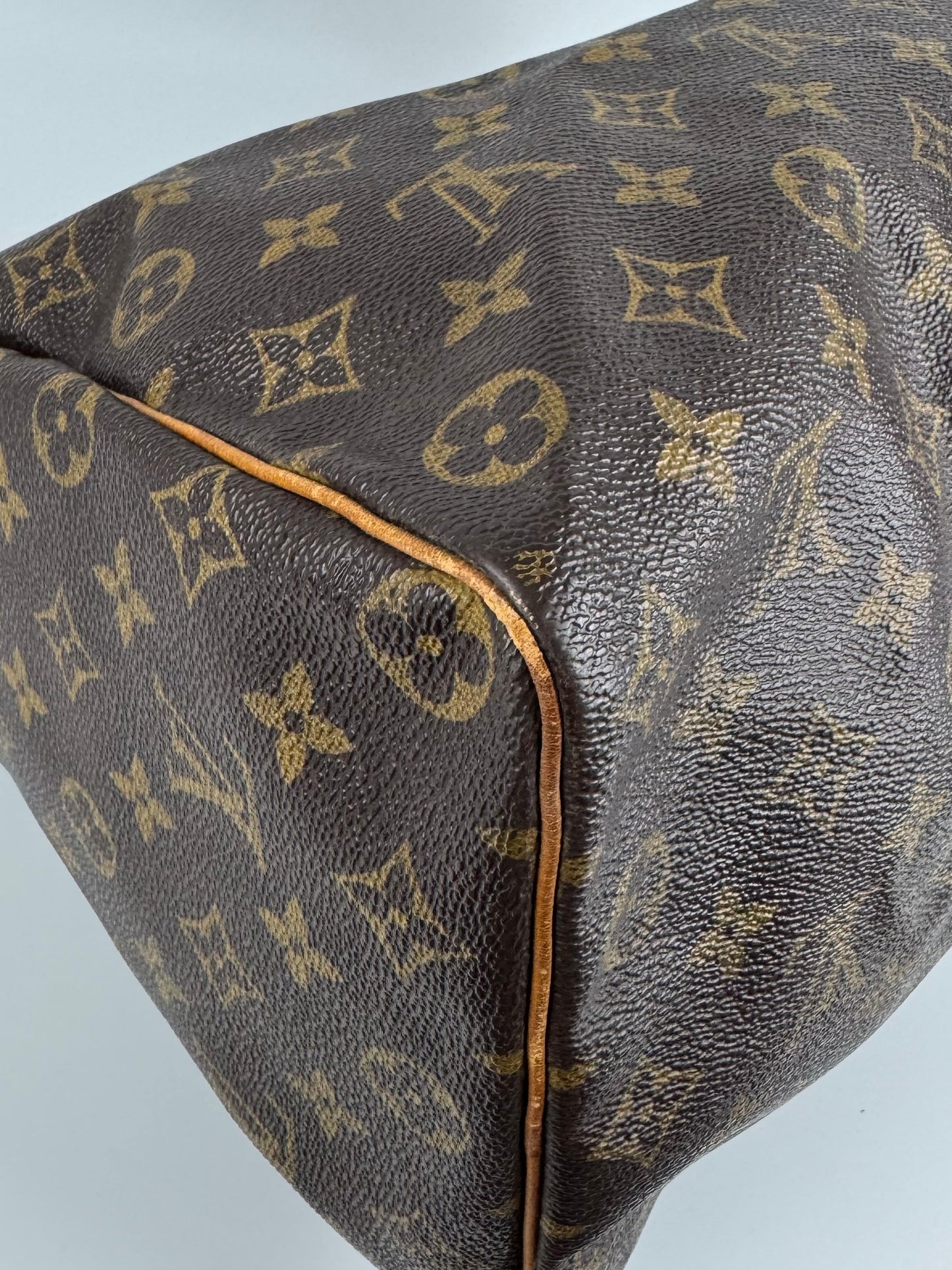 Louis Vuitton Speedy 35