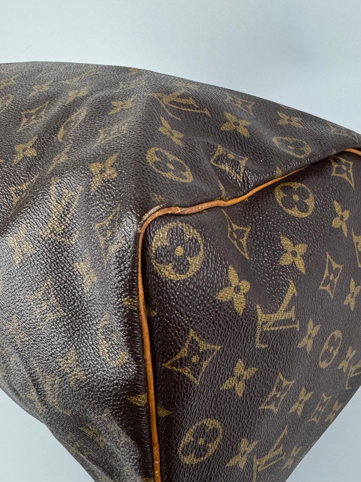 Louis Vuitton Speedy 35