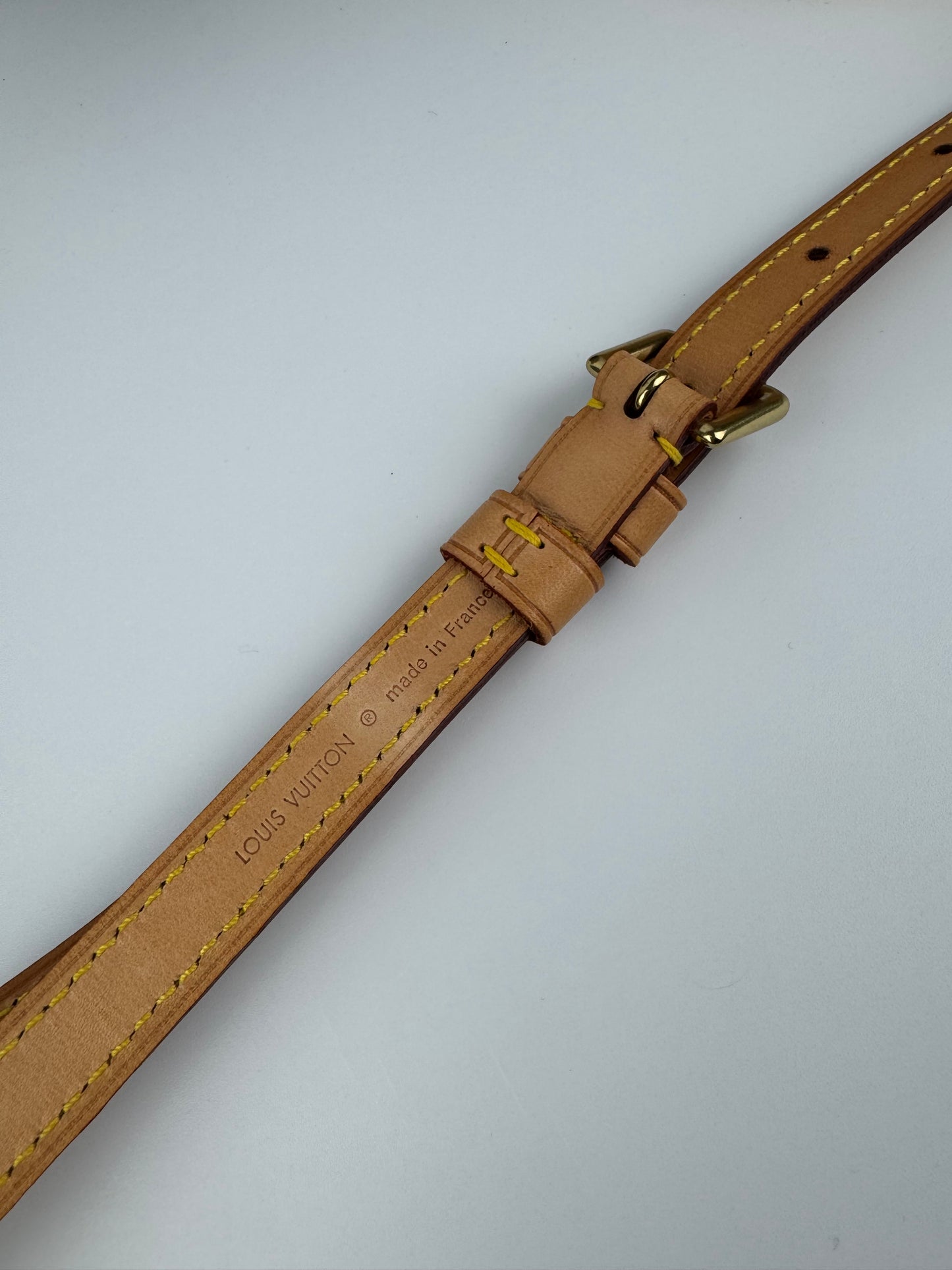 Louis Vuitton Mini Speedy
