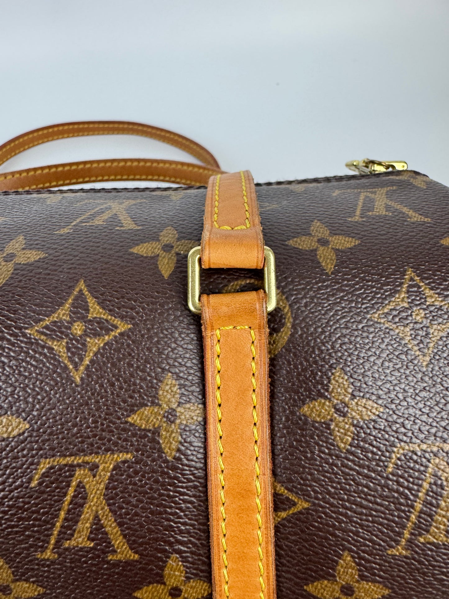 Louis Vuitton Papillon
