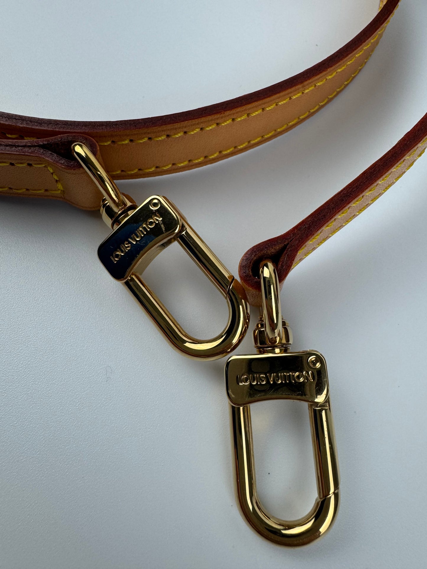 Louis Vuitton Mini Speedy