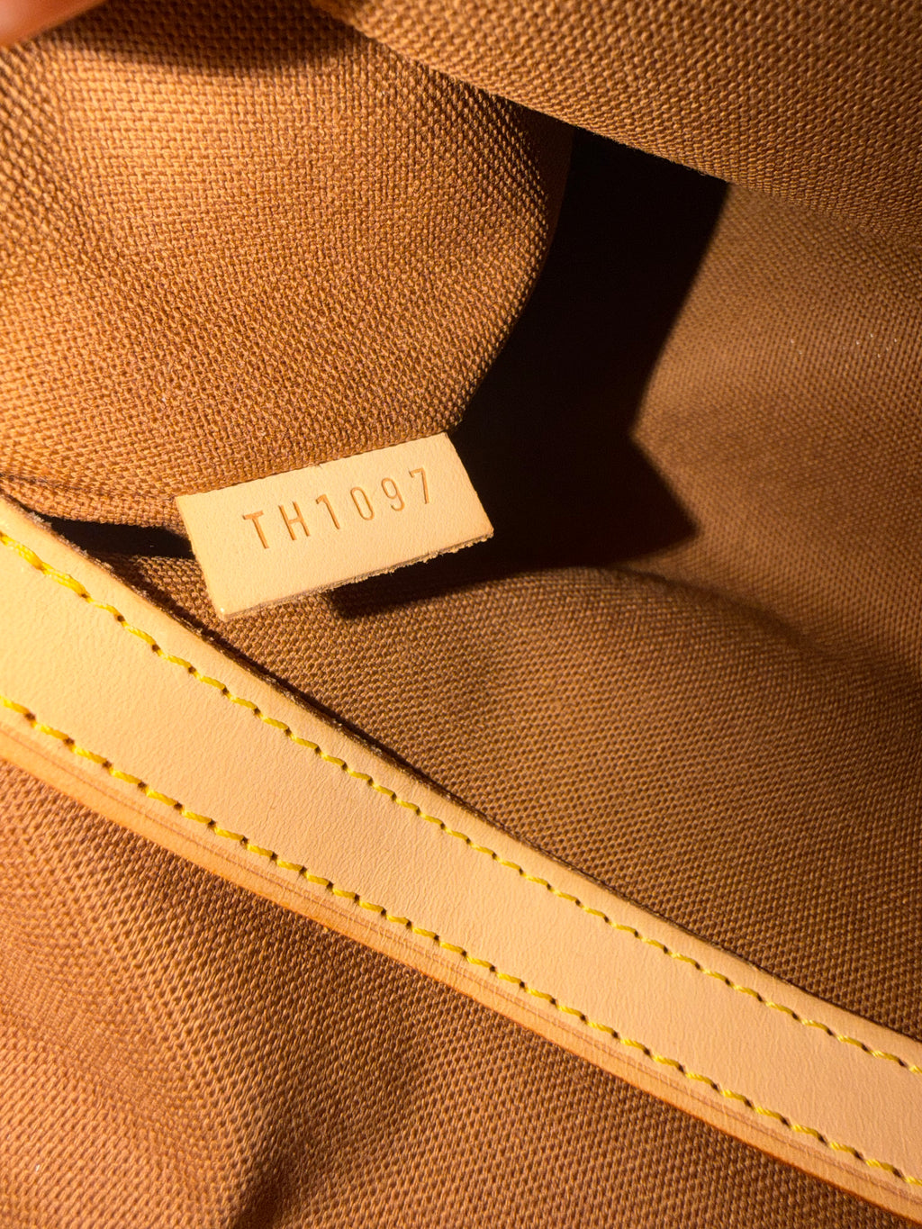 Louis Vuitton Carryall