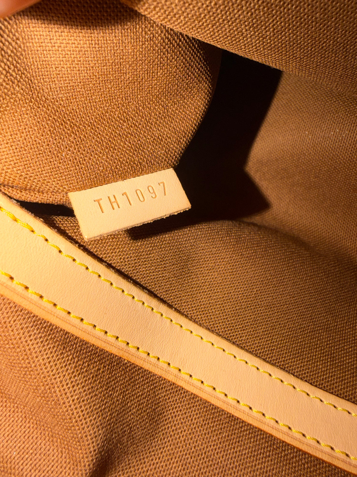 Louis Vuitton Carryall