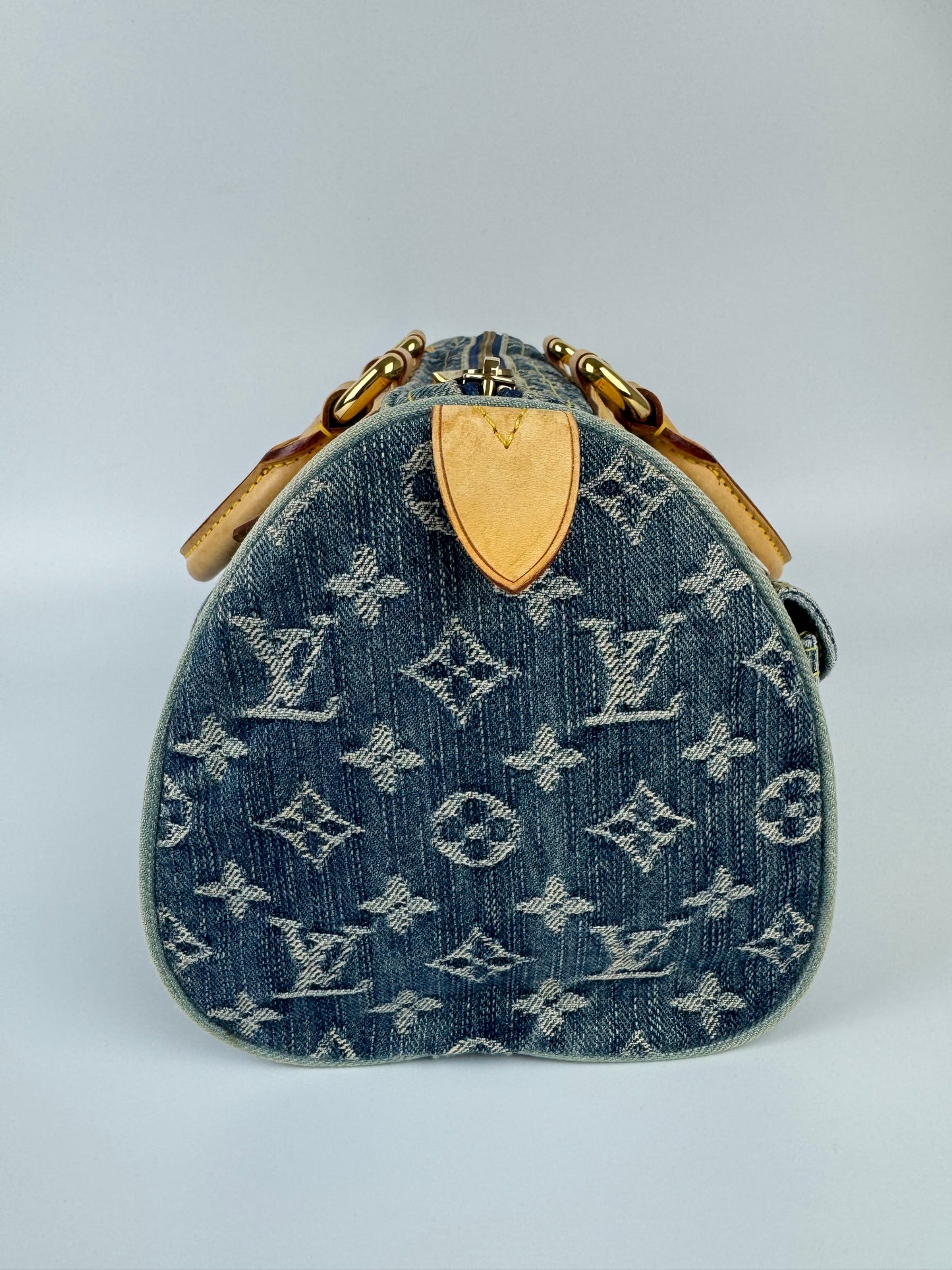 Louis Vuitton Neo Speedy Handbag