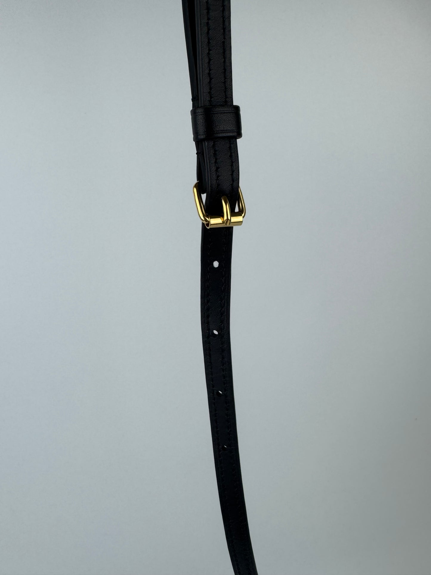 Louis Vuitton Reverse Pochette