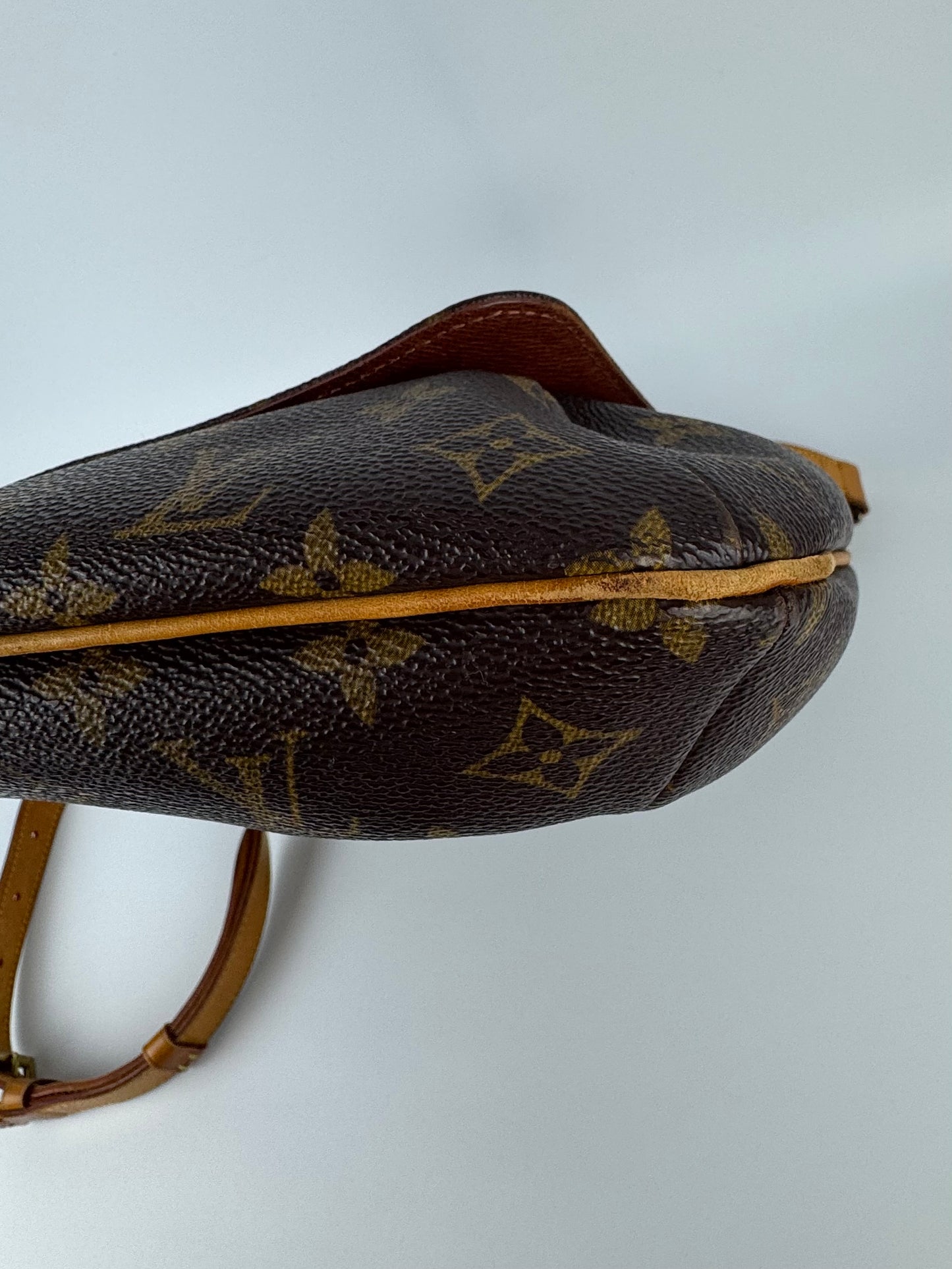 Louis Vuitton Musette Crossbosy Bag