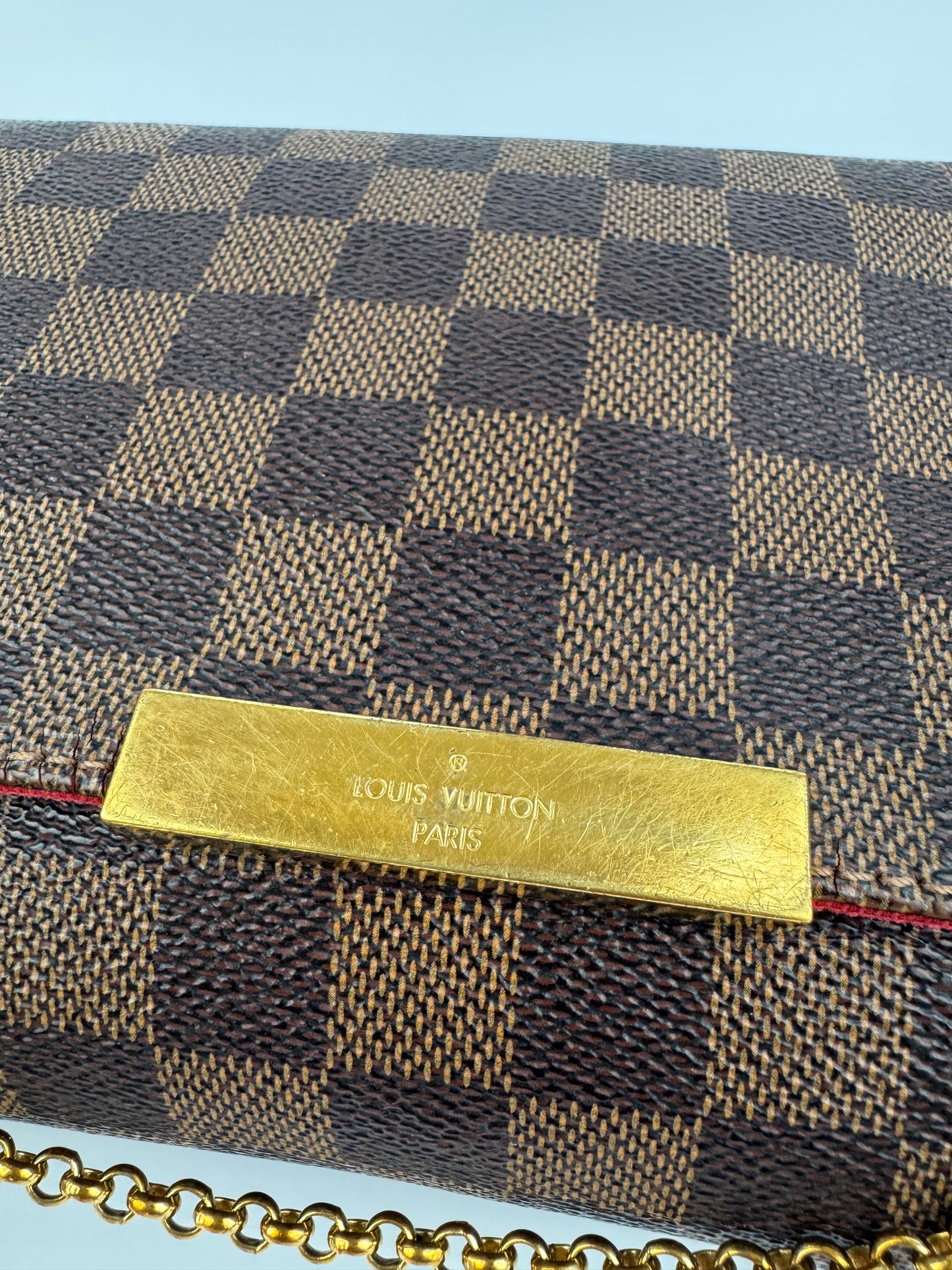 Louis Vuitton Favorite MM Bag