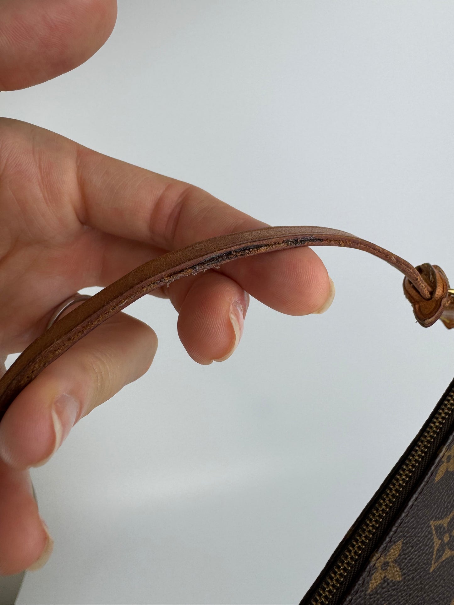 Louis Vuitton Pochette Accessories